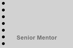 seniormentor24